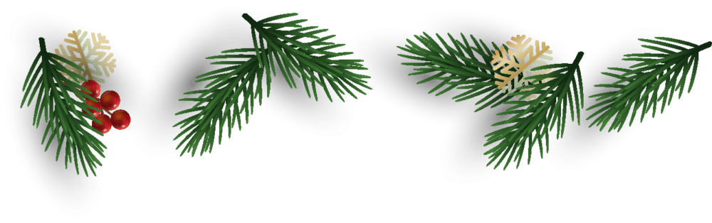 Christmas Light Installation Service Charlotte NC Logo 2