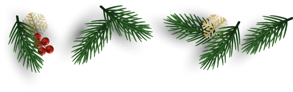 Christmas Light Installation Service Charlotte NC Logo 2